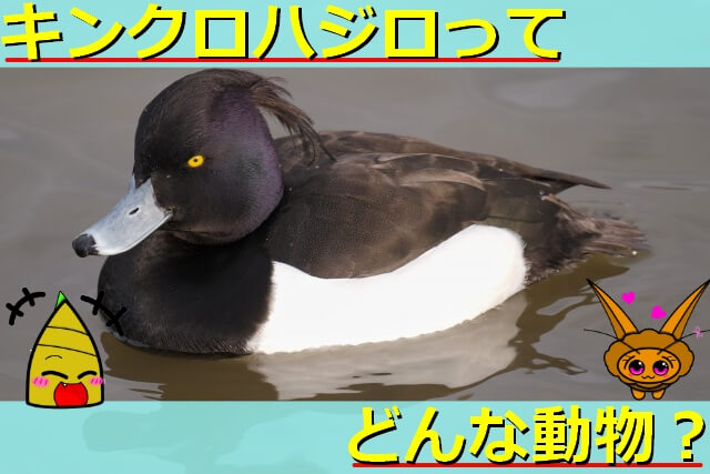 Thumbnail of post image 152